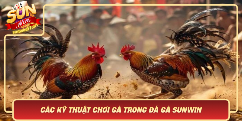 Các Kỹ Thuật Chơi Gà Trong Đá Gà Sunwin – Chiến Thuật Tinh Tế Và Đẳng Cấp Cac Ky Thuat Choi Ga Trong Da Ga Sunwin Chien Thuat Tinh Te Va Dang Cap