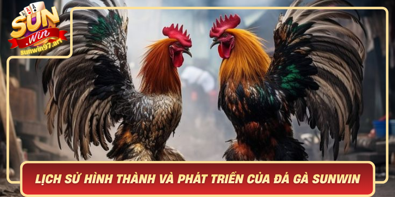 Lịch Sử Hình Thành Và Phát Triển Của Đá Gà Sunwin – Truyền Thống Đậm Đà Bản Sắc Việt Lich Su Hinh Thanh Va Phat Trien Cua Da Ga Sunwin Truyen Thong Dam Da Ban Sac Viet